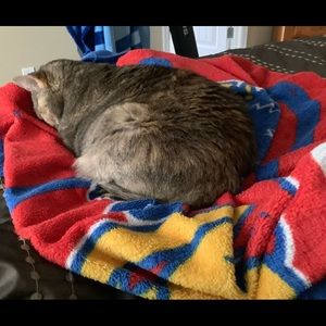 Meet your Posher, Brenda